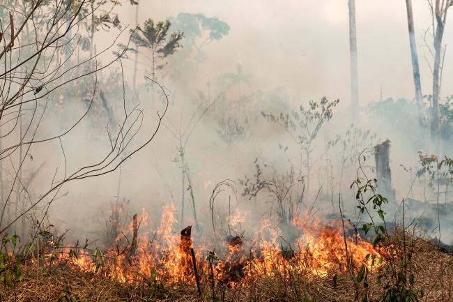 Fires burn in the Brazilian Amazon. (Photo by Vinícius Mendonça/Ibama via Flickr)