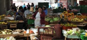 Food Security and the Free Trade Agreement with Colombia