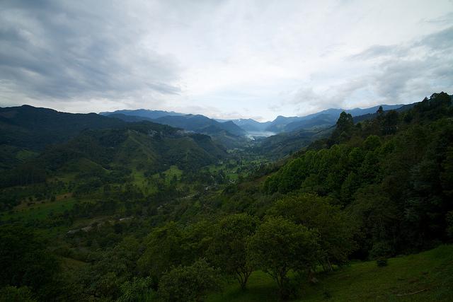 A national park in Colombia. The latest ceasefire between the FARC and the government could reduce environmental destruction in the country. (McKay Savage / Creative Commons)