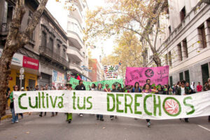 Pioneering Cannabis Regulation in Uruguay