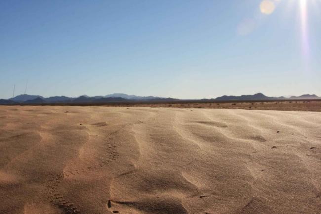 Desert of the Cabeza Prieta National Wildlife Refuge, where fencing and deterrence strategies have caused environmental degradation (WIkimedia Commons)