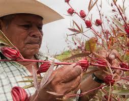 Impunity Still Rules in Mexico: A Few More Deaths Foretold