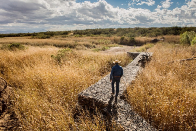 Juan Manuel Perez, the foreman of the organization Cuenca Los Ojos, walks along a rock gabion wall (Photo by Jeff Smith) 