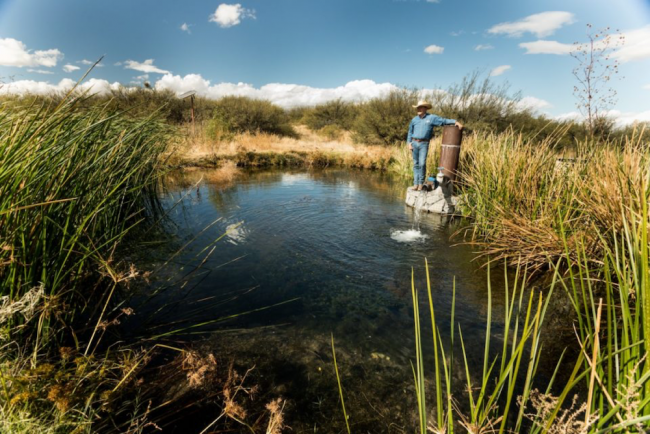 Thanks in part to restoration work done by CLO, the water table around San Bernardino Ranch has risen 30 feet even during a punishing drought (Photo by Jeff Smith)