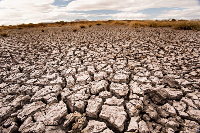 The earth is on track to hit an average temperature increase of 6.5 degrees by 2100; scientists also predict more severe and more frequent droughts across the Southwest (Photo by Jeff Smith)