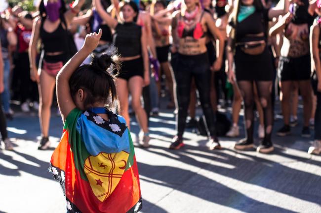 Una pequeña con la bandera Mapuche se une a la viralizada intervención 