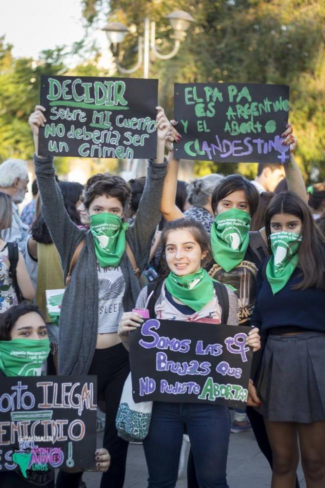 Recent protests in favor of a bill that would legalize abortion in Argentina (Pau Malén)