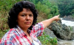 A Year Without Berta