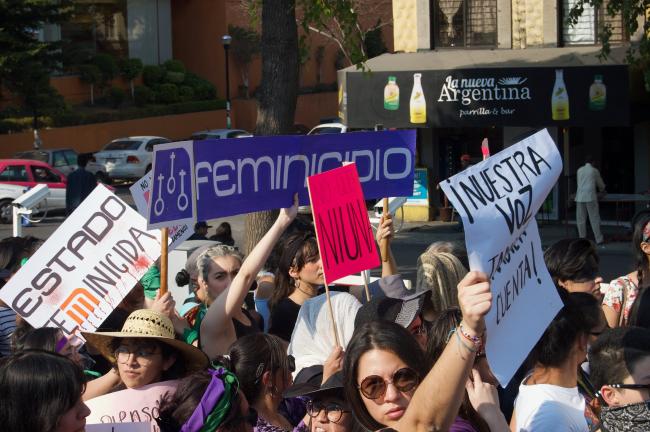 Una manifestación en Febrero 2019 en la Ciudad de México (Foto por Madeleine Wattenbarger)