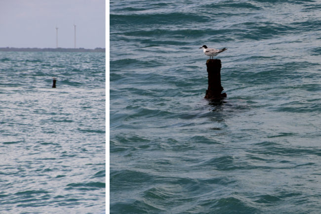 A pipe sticks out of the shallow waters off the coast of Guamaré. According to local fishermen, the pipe releases the gas that can't be filtered enough for transport in the gas pipelines. (Patricia Rodriguez / Earthworks) 