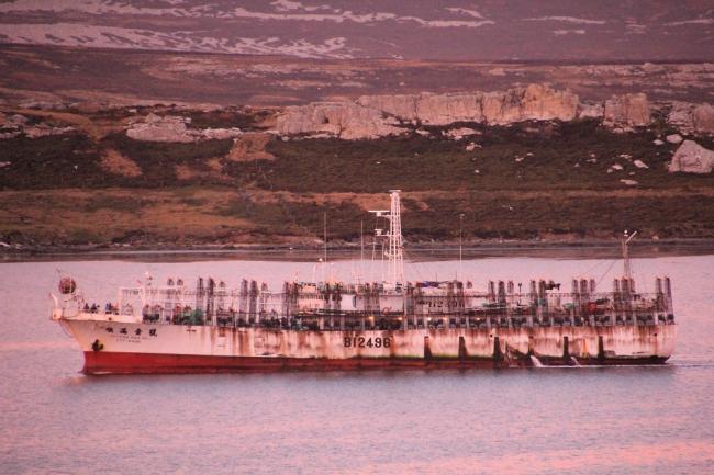 A fishing jigger on the shores of the Falkland Islands/ Malvinas (Photo by James J.A. Blair)