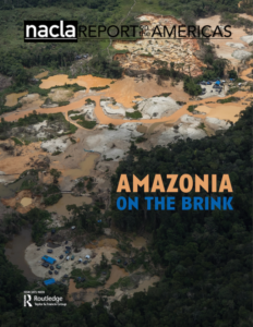 La Amazonia al borde de un precipicio