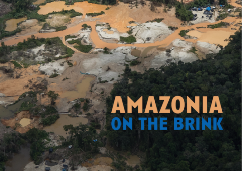 La Amazonia al borde de un precipicio