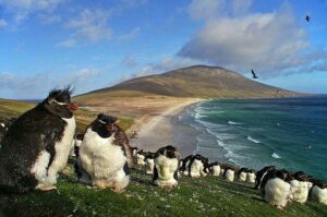 UK Must Engage with Argentina Over Future of Falkland Islands