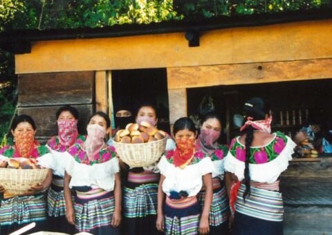 Review: Hilary Klein's Compañeras: Zapatista Women's Stories