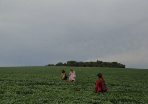 Madalena (Review)