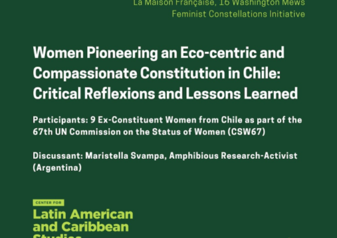 Women Pioneering an Eco-Centric And Compassionate Constitution in Chile